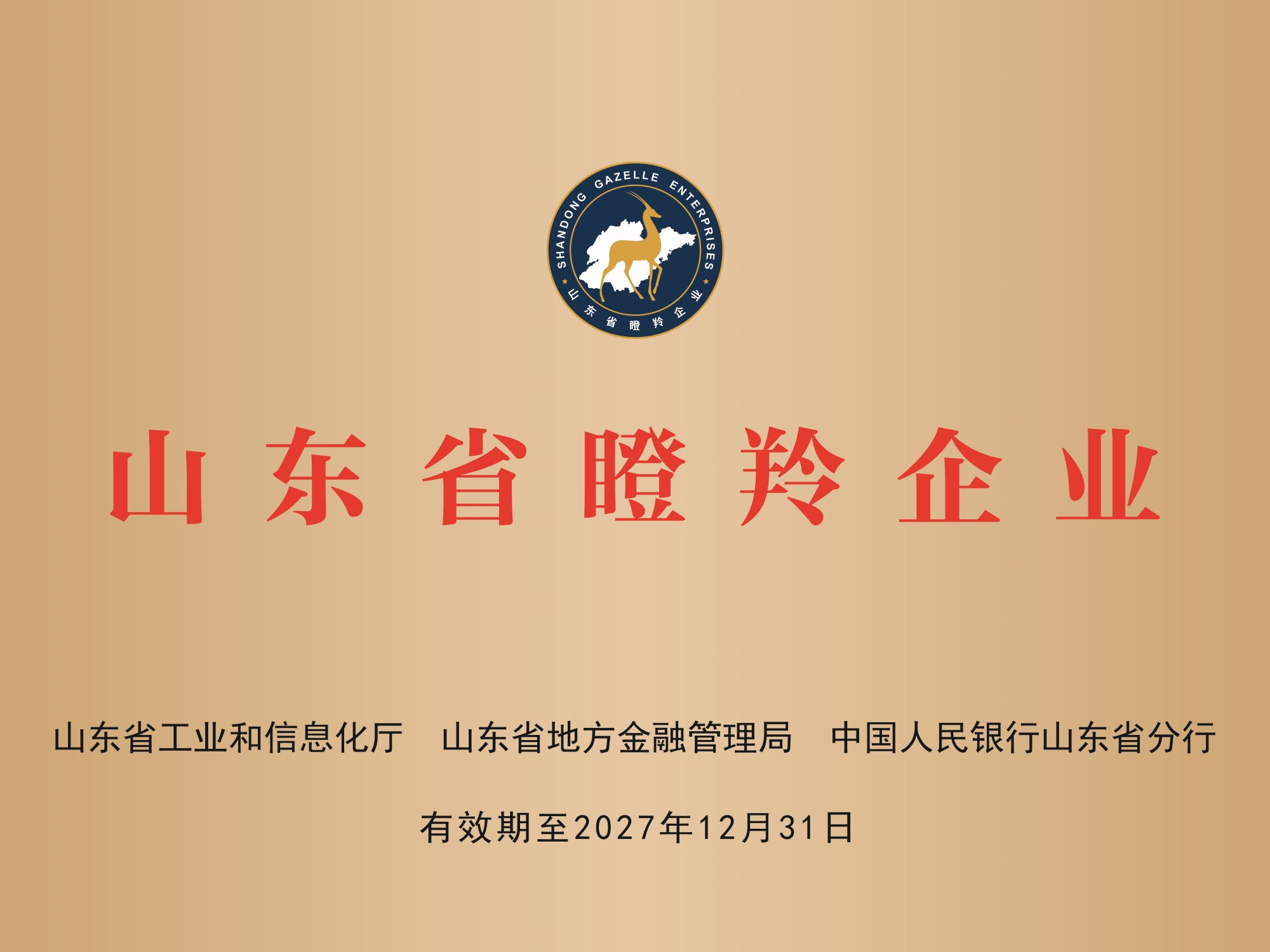 荣誉资质